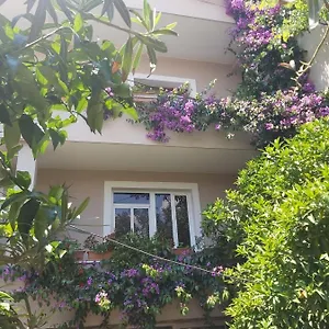 Flowers Tirana